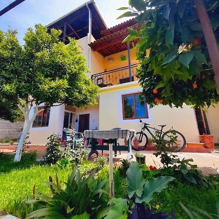 Guest House Noah&Kristel Berat Exterior photo