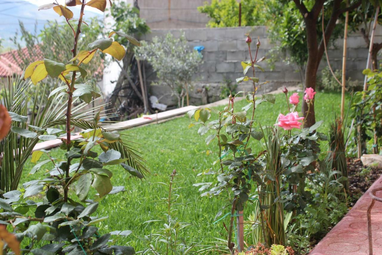 Guest House Noah&Kristel Berat Exterior photo