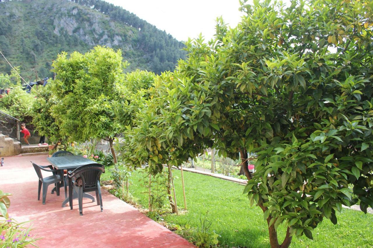 Guest House Noah&Kristel Berat Exterior photo